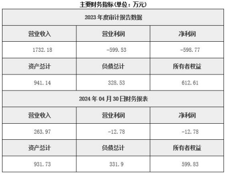 新疆水力發(fā)電公司轉讓項目