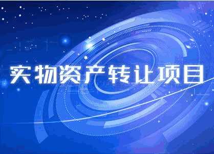 實(shí)物資產(chǎn)轉讓項目