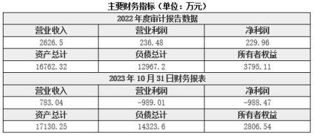 北京數字資源技術(shù)服務(wù)公司轉讓項目