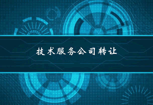 技術(shù)服務(wù)公司轉讓項目